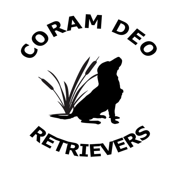 coramdeologo2020 2x2