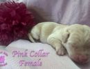 cdrnailsxshady5 26 26